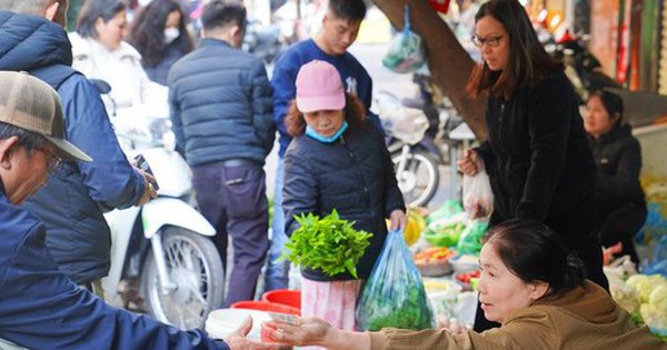 Rau xanh, thực phẩm dồi dào, không tăng giá dịp Tết