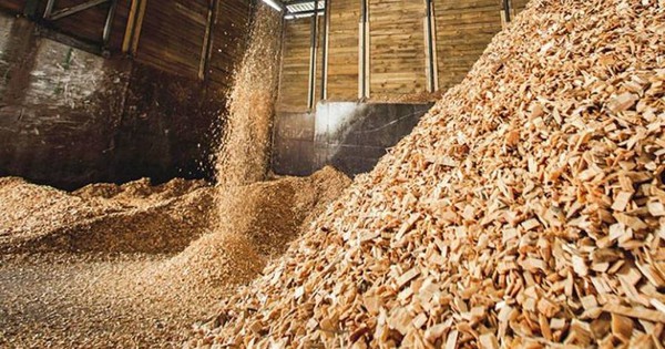 Ấn Độ liên tục đổ tiền mua sản phẩm này từ Việt Nam: Nhiều cường quốc ưa chuộng, là số ít mặt hàng mang về hơn 1 tỷ USD trong tháng 1/2024