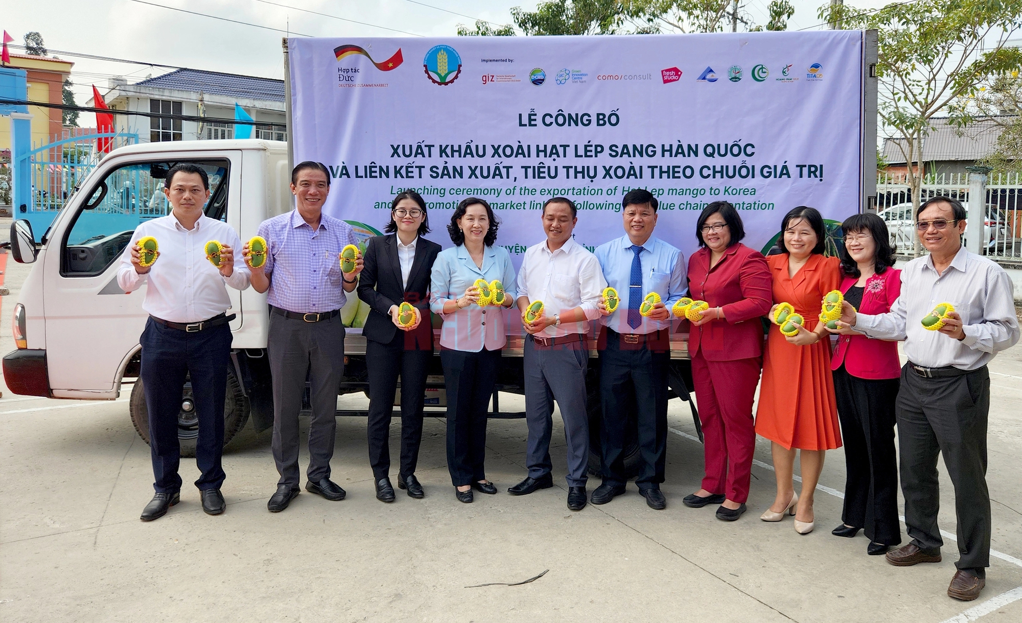 An Giang xuất khẩu lô xoài cát hạt lép đầu tiên sang Hàn Quốc - Ảnh 4