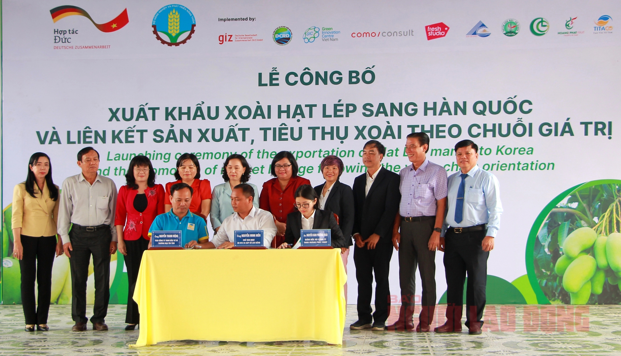 An Giang xuất khẩu lô xoài cát hạt lép đầu tiên sang Hàn Quốc - Ảnh 5