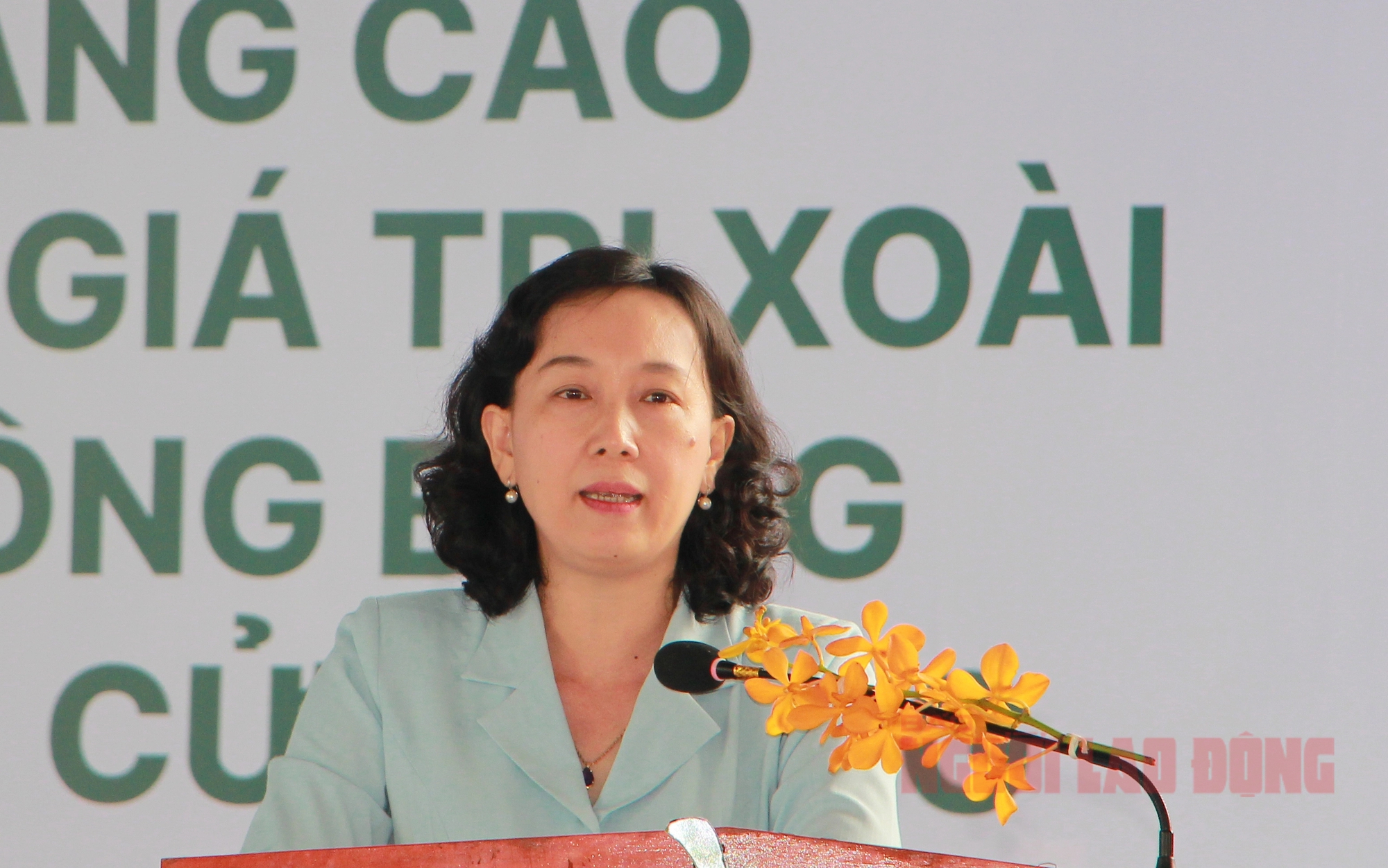 An Giang xuất khẩu lô xoài cát hạt lép đầu tiên sang Hàn Quốc - Ảnh 2