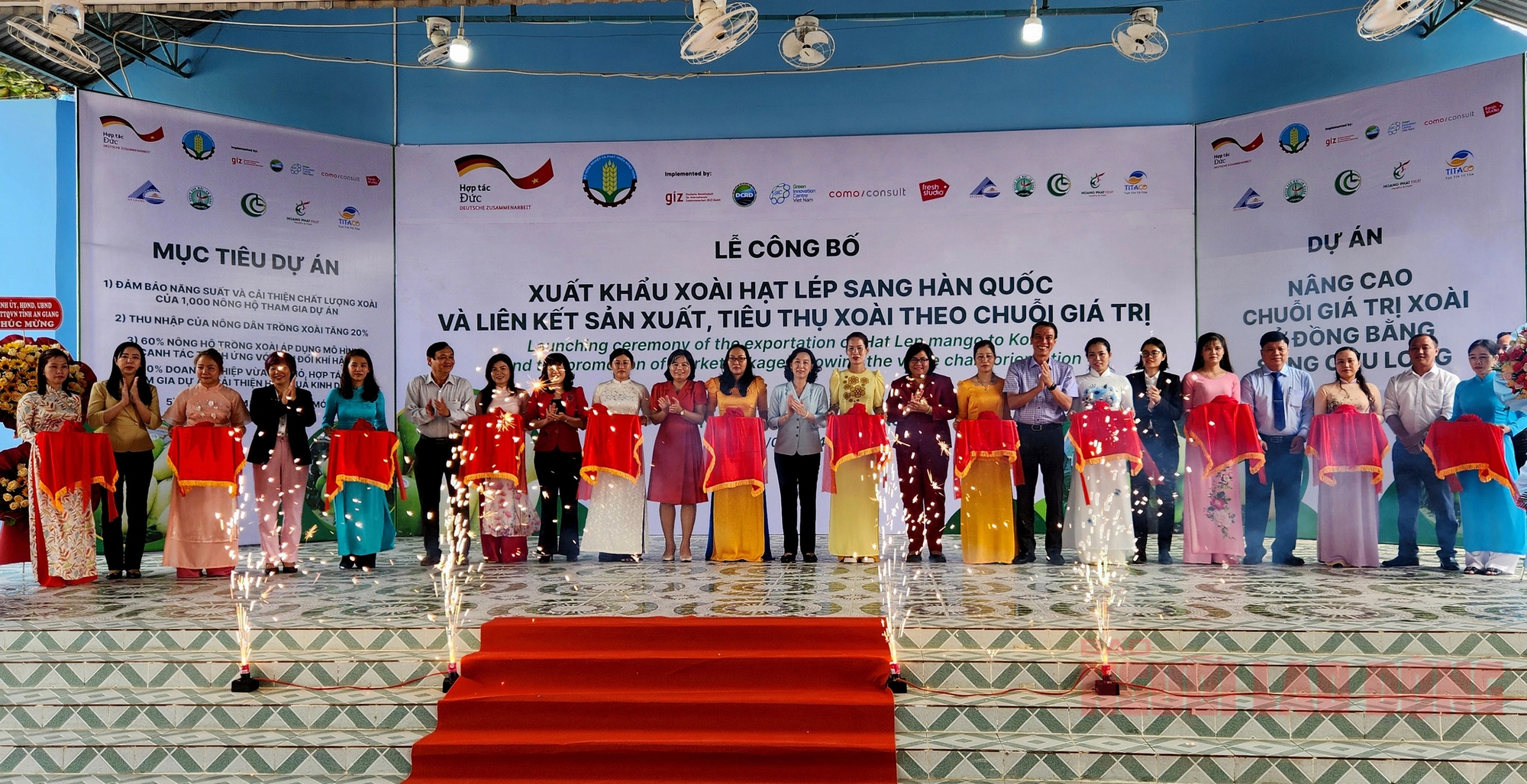 An Giang xuất khẩu lô xoài cát hạt lép đầu tiên sang Hàn Quốc - Ảnh 1