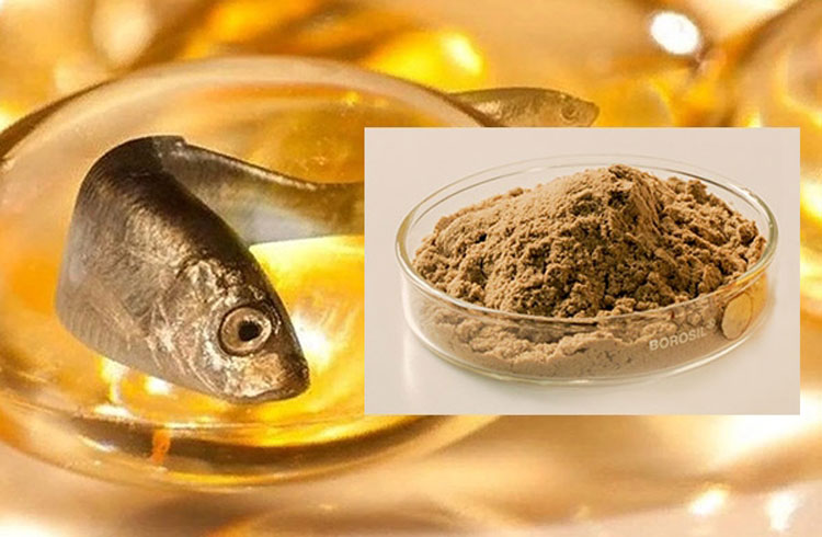 Vì sao Trung Quốc chi hơn 400 triệu USD để nhập khẩu một mặt hàng của Việt Nam, bất chấp giá tăng kỷ lục? - Ảnh 1