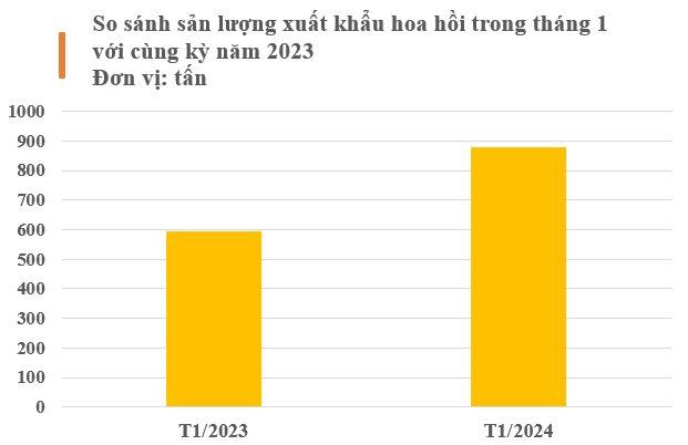 'Hoa triệu đô' của Việt Nam trong danh mục không thể không mua của Ấn Độ: Trồng ít nhất 5 năm mới cho thu hoạch, nước ta cạnh tranh với Trung Quốc thống trị nguồn cung toàn cầu - Ảnh 2