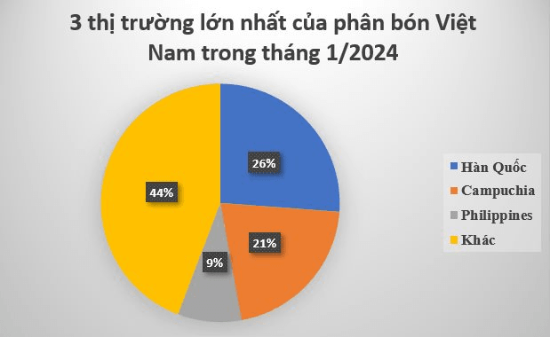 Hàn Quốc bất ngờ săn lùng mặt hàng này của Việt Nam: tăng hơn 1.000%, thu hơn 72 triệu USD chỉ trong 1 tháng, Campuchia, Philippines cũng mạnh tay gom hàng - Ảnh 3