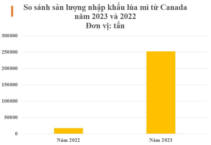 Mặt hàng từ Canada đổ bộ Việt Nam với giá rẻ bất ngờ, nhập khẩu tăng nóng hơn 1.000% trong năm 2023 - Ảnh 2
