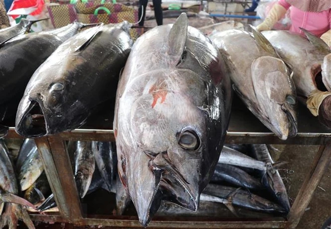 Mặt hàng hơn 800 triệu USD của Việt Nam khiến Mỹ, Nga “mê như điếu đổ”: Hơn 100 nước nhập về ăn - Ảnh 1