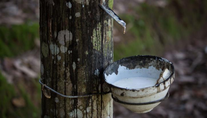Xe điện Trung Quốc bùng nổ khiến giá một mặt hàng vọt lên cao nhất gần 3 năm: là báu vật Việt Nam không thiếu, cơ hội lớn cho doanh nghiệp xuất khẩu - Ảnh 1