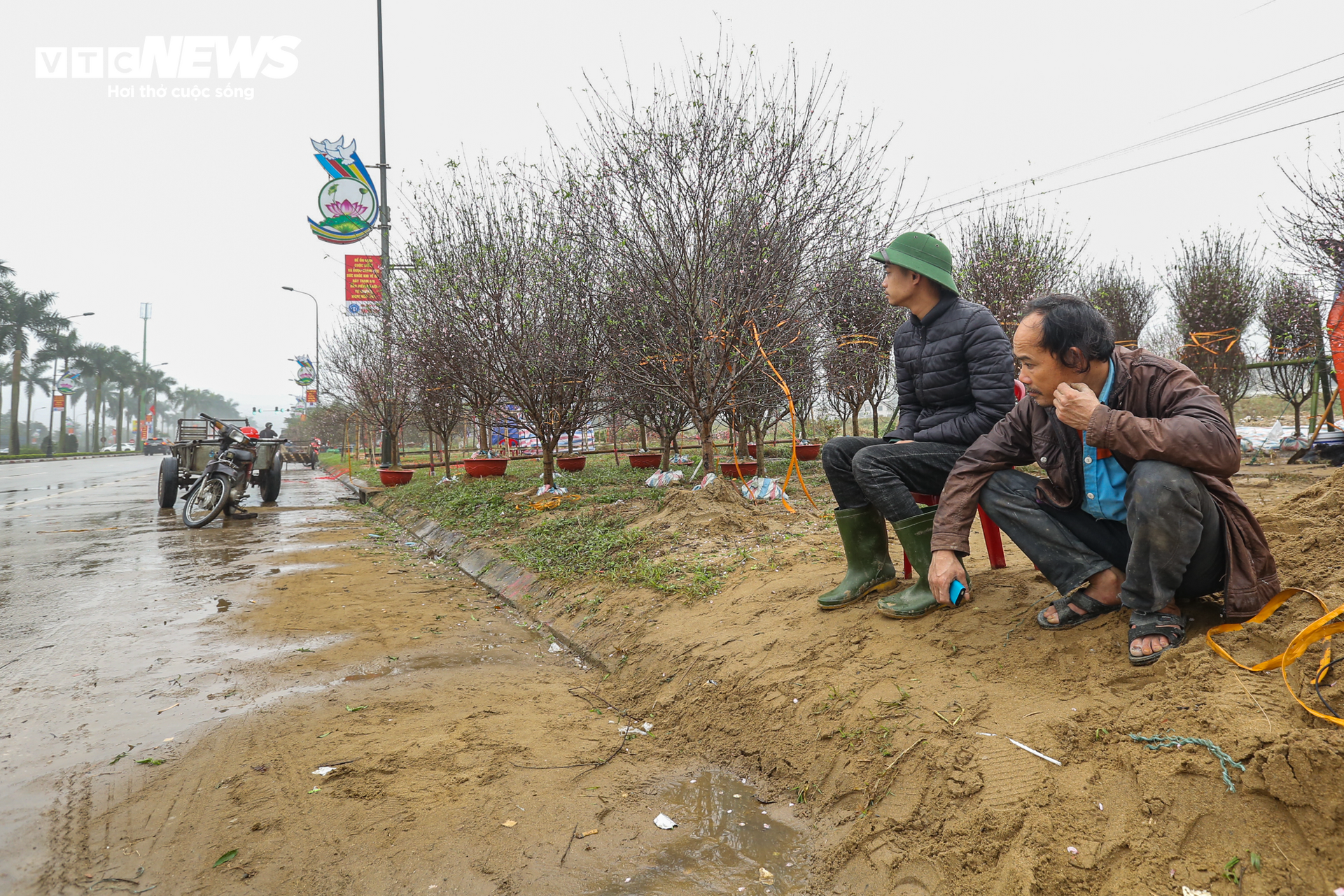 Tiểu thương ăn ngủ cùng hoa, mong khách đừng chờ 30 Tết mới mua cây - Ảnh 6