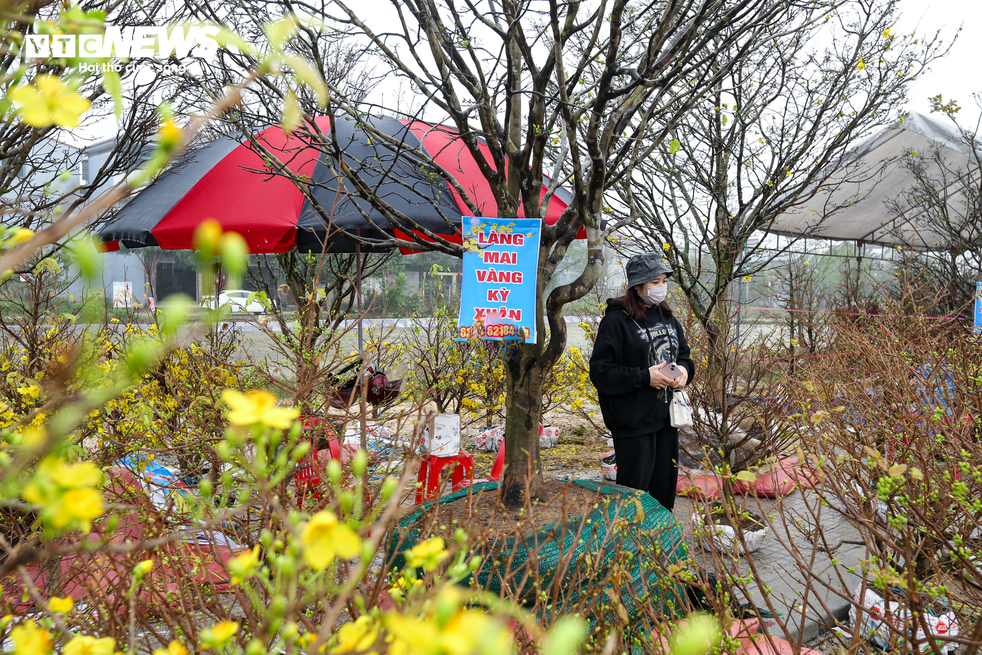 Tiểu thương ăn ngủ cùng hoa, mong khách đừng chờ 30 Tết mới mua cây - Ảnh 11