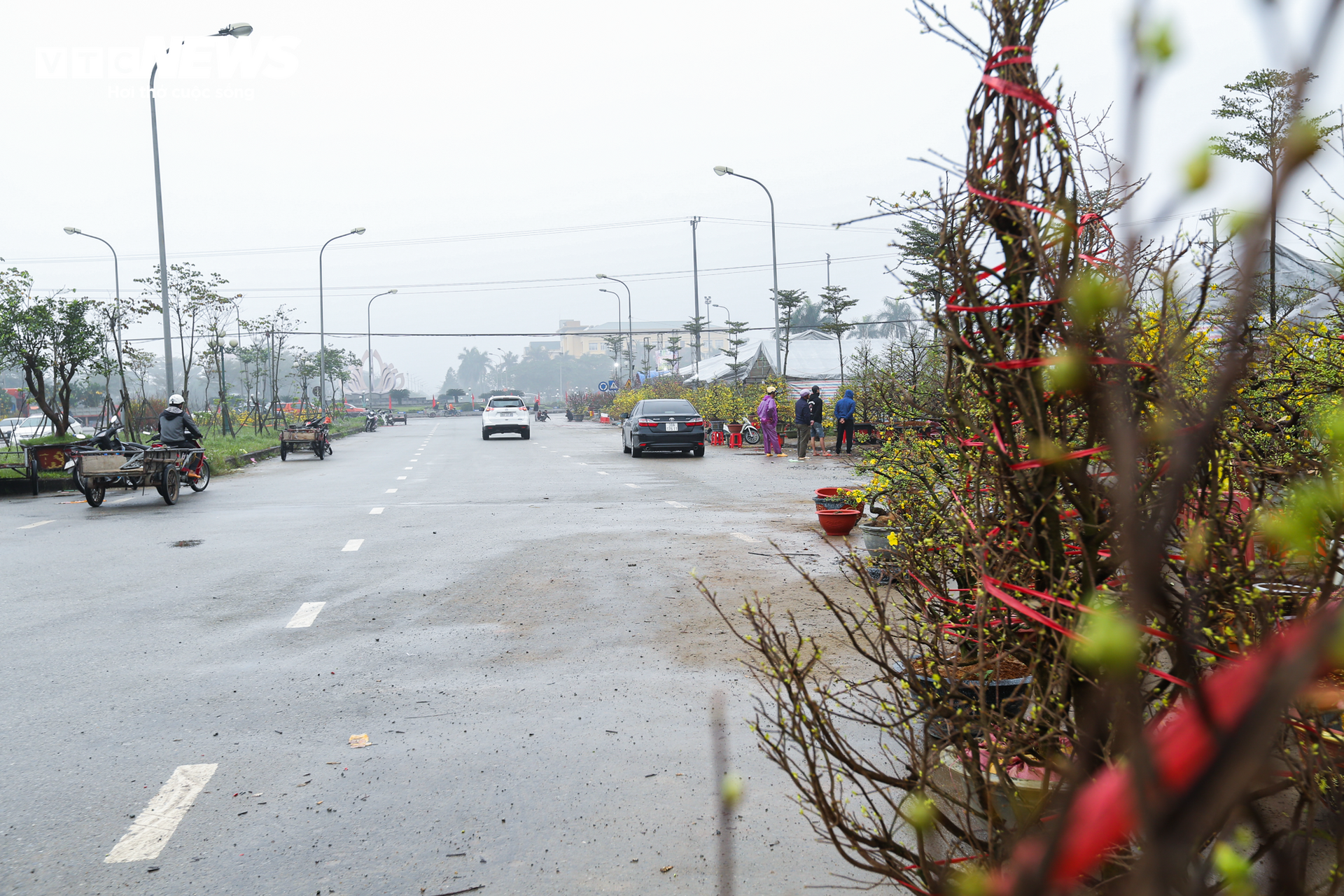 Tiểu thương ăn ngủ cùng hoa, mong khách đừng chờ 30 Tết mới mua cây - Ảnh 7