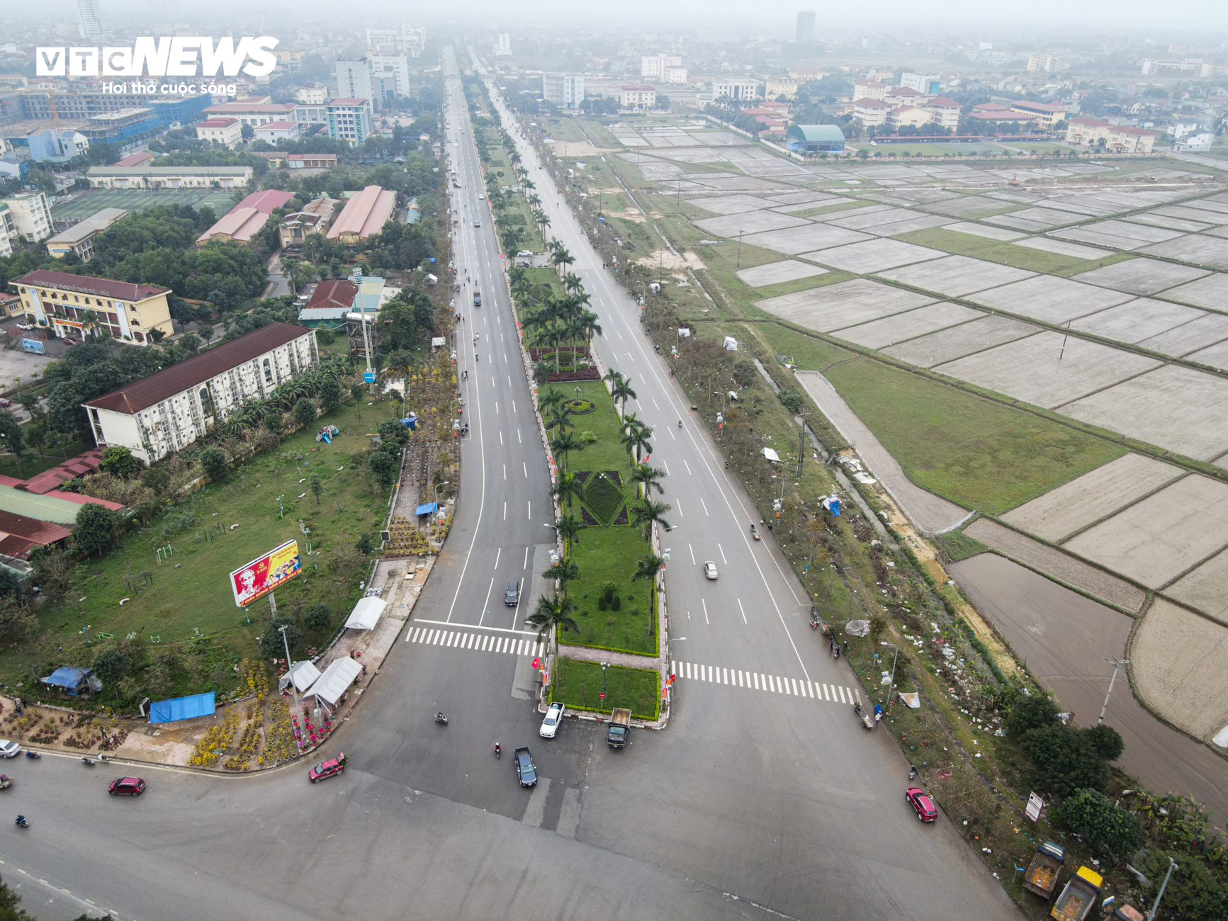 Tiểu thương ăn ngủ cùng hoa, mong khách đừng chờ 30 Tết mới mua cây - Ảnh 1