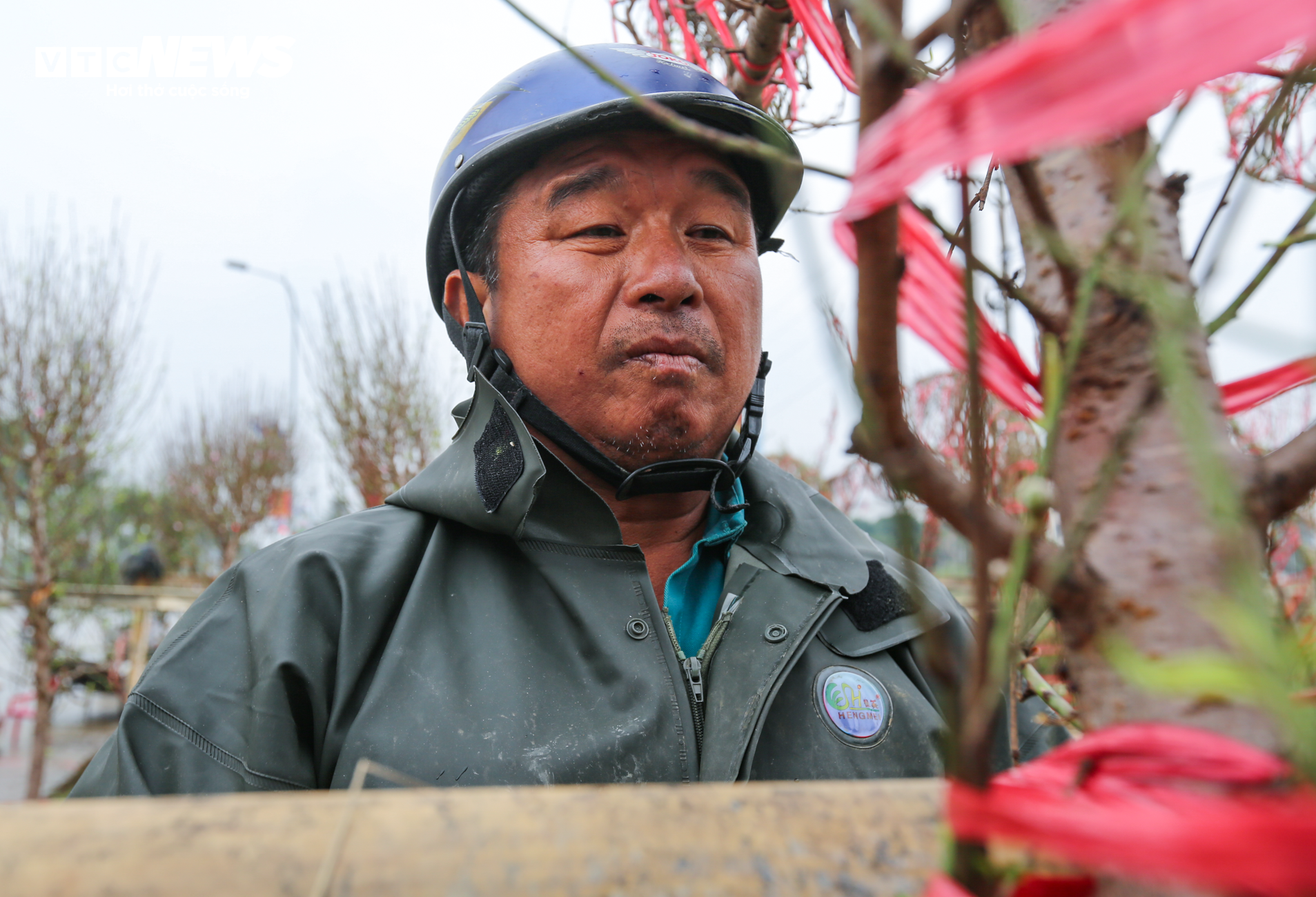 Tiểu thương ăn ngủ cùng hoa, mong khách đừng chờ 30 Tết mới mua cây - Ảnh 12