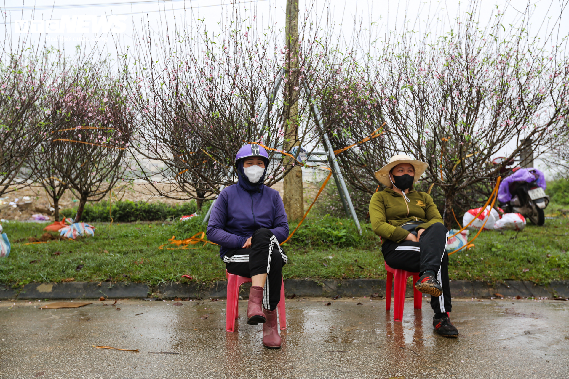 Tiểu thương ăn ngủ cùng hoa, mong khách đừng chờ 30 Tết mới mua cây - Ảnh 4