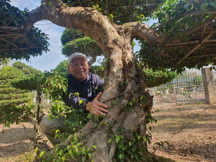 Về đất tổ làng nghề cây cảnh, ngắm cây sanh hình rồng trăm tuổi, giá tiền tỷ - Ảnh 5