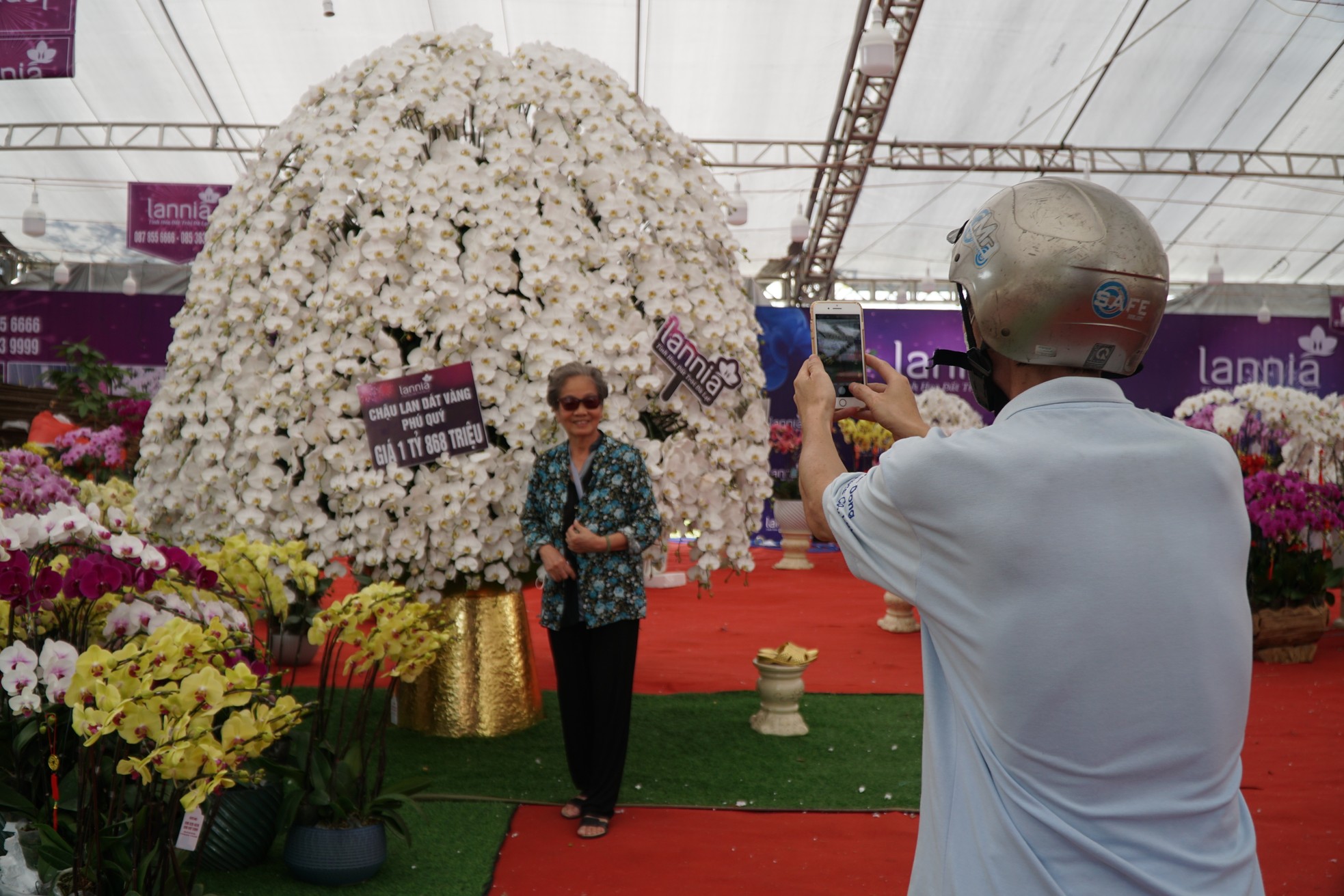 Chậu lan hồ điệp cao 4m gần 2 tỷ đồng đã có người hỏi mua - Ảnh 3