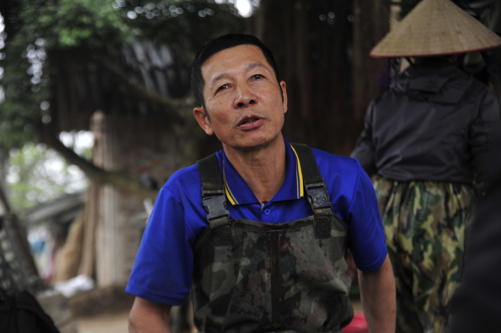 Chép vàng rớt giá dù đã cận ngày ông Công ông Táo, thương lái chỉ mong bán hết hàng - Ảnh 1