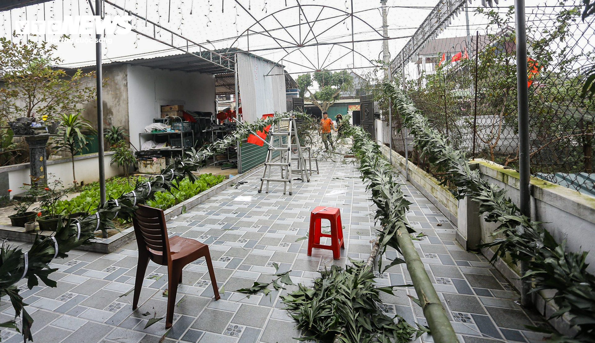 Bỏ túi tiền triệu mỗi ngày từ dịch vụ làm cây ‘trừ tà’ - Ảnh 3