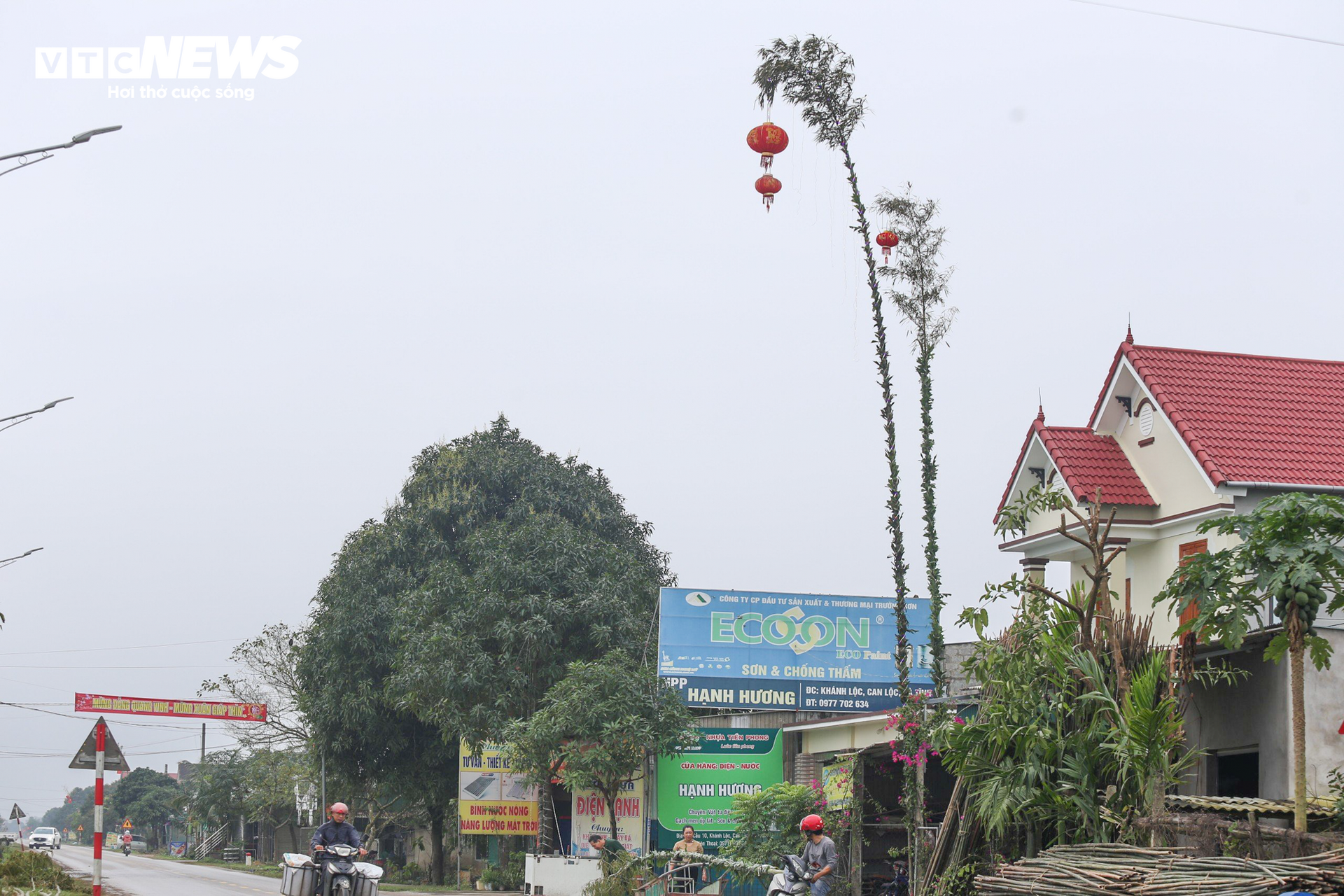 Bỏ túi tiền triệu mỗi ngày từ dịch vụ làm cây ‘trừ tà’ - Ảnh 14