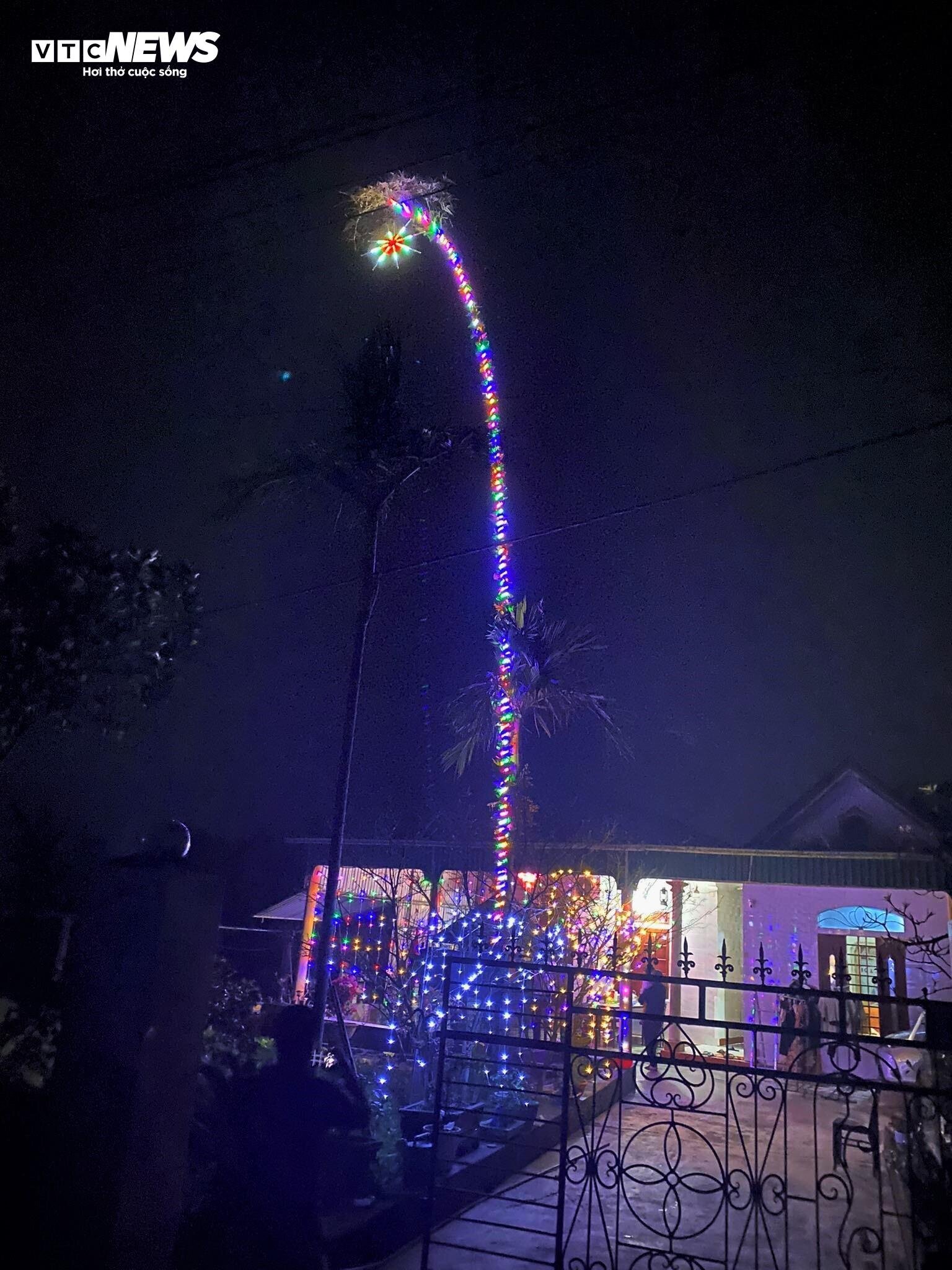 Bỏ túi tiền triệu mỗi ngày từ dịch vụ làm cây ‘trừ tà’ - Ảnh 15