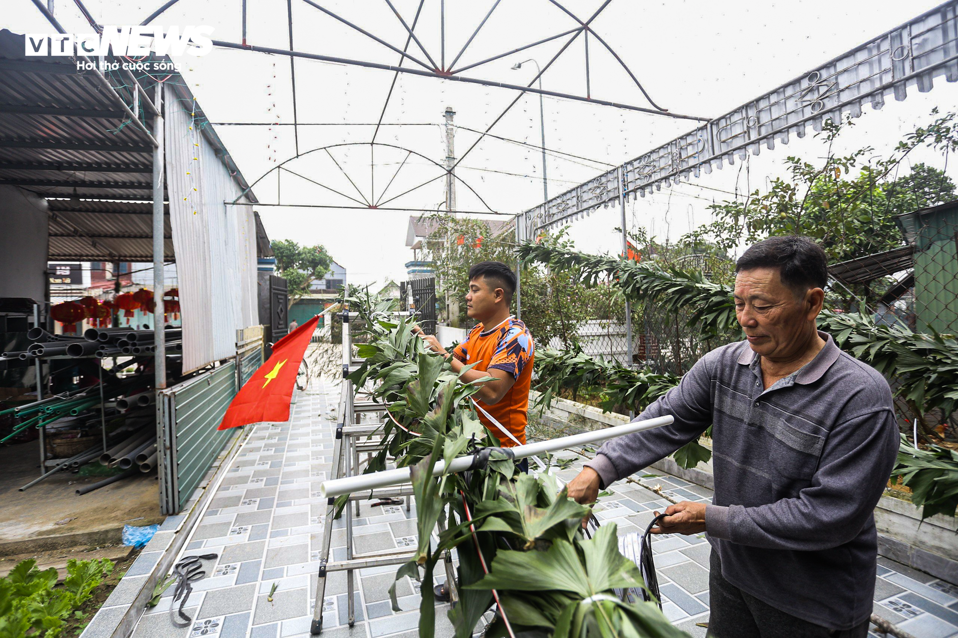 Bỏ túi tiền triệu mỗi ngày từ dịch vụ làm cây ‘trừ tà’ - Ảnh 2