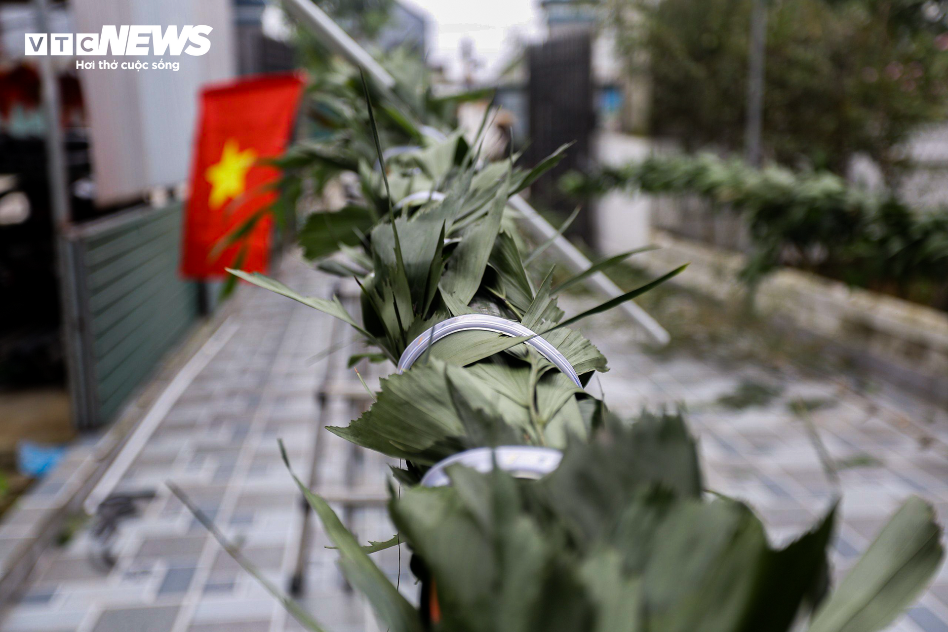 Bỏ túi tiền triệu mỗi ngày từ dịch vụ làm cây ‘trừ tà’ - Ảnh 10