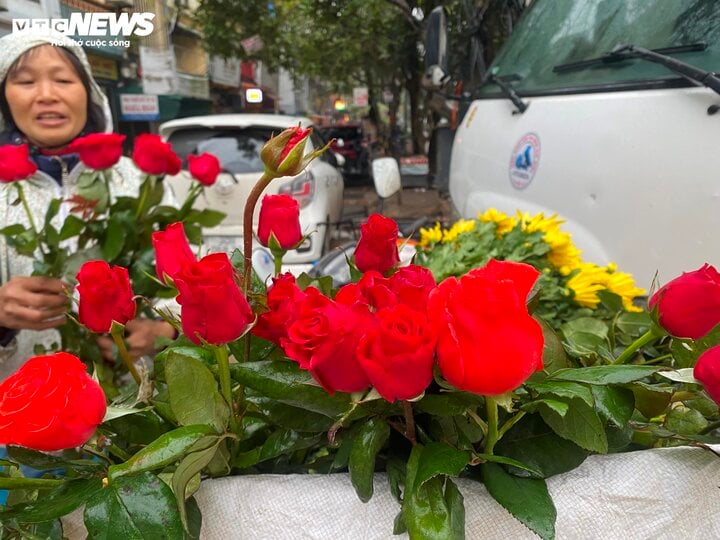 Sát ngày ông Công ông Táo, giá trầu cau tăng dựng đứng - Ảnh 2