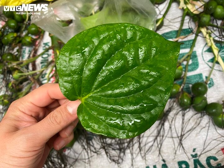 Sát ngày ông Công ông Táo, giá trầu cau tăng dựng đứng - Ảnh 1