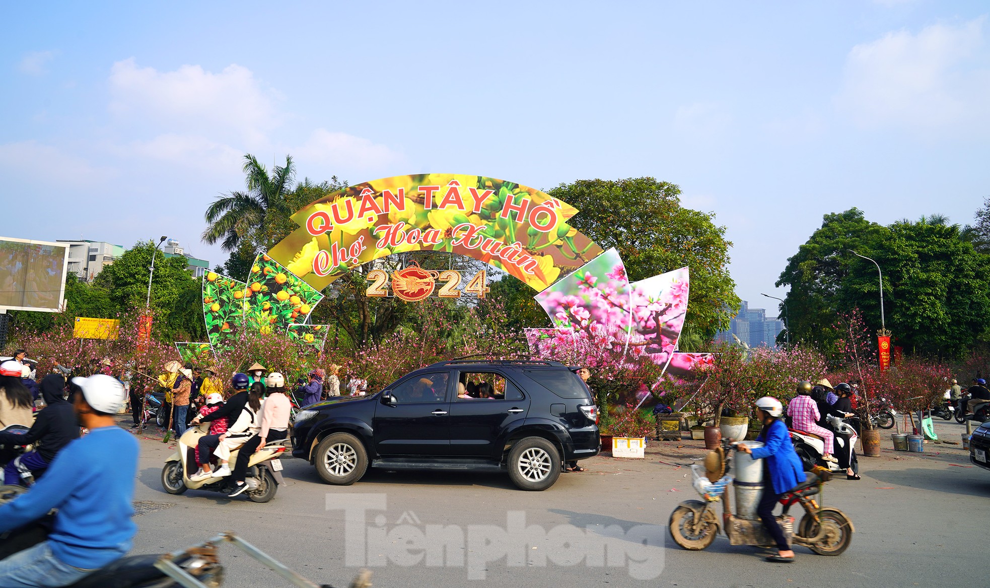 Đào quất 'ê hề', tiểu thương quyết không hạ giá dù sức mua kém - Ảnh 1