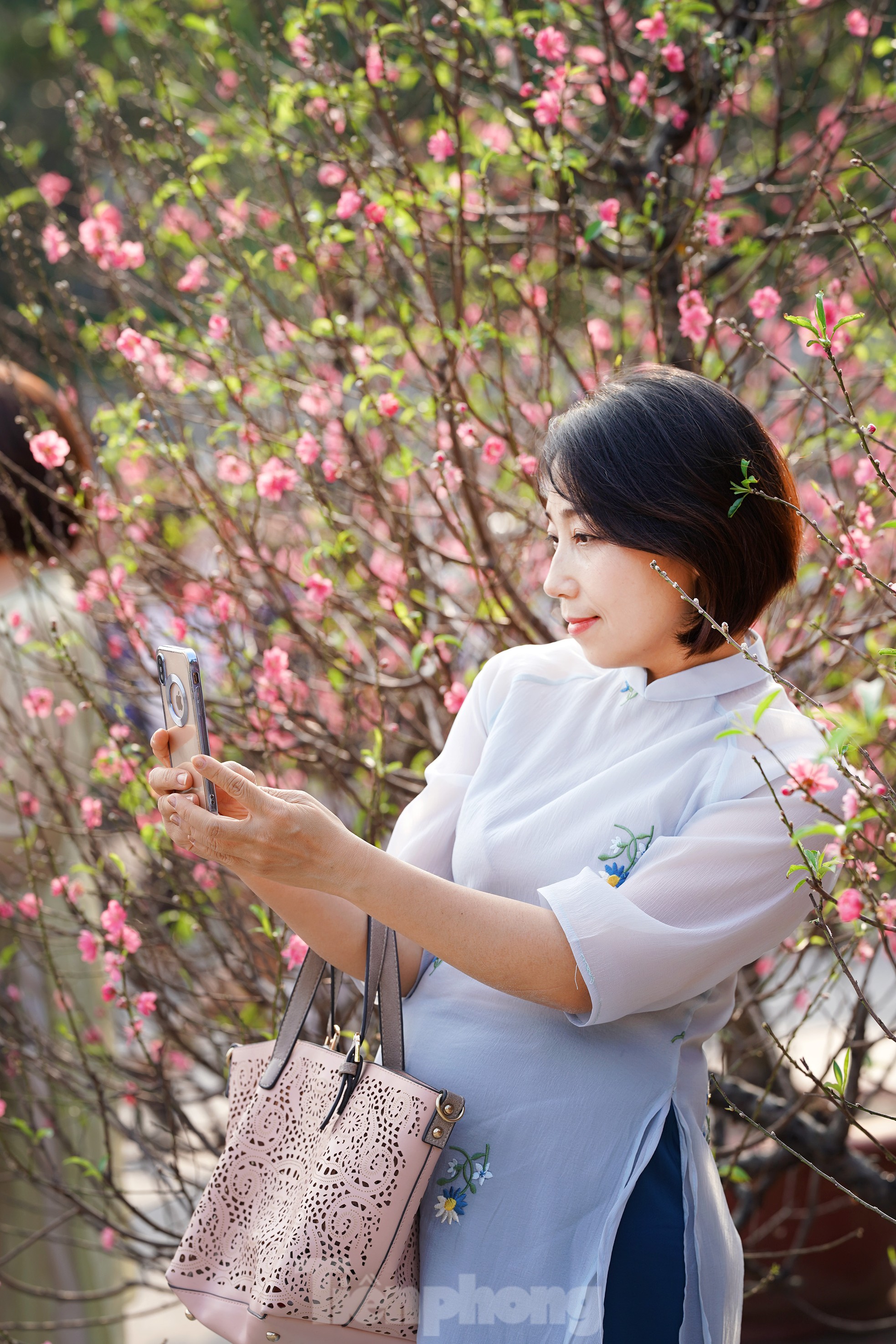 Đào quất 'ê hề', tiểu thương quyết không hạ giá dù sức mua kém - Ảnh 14