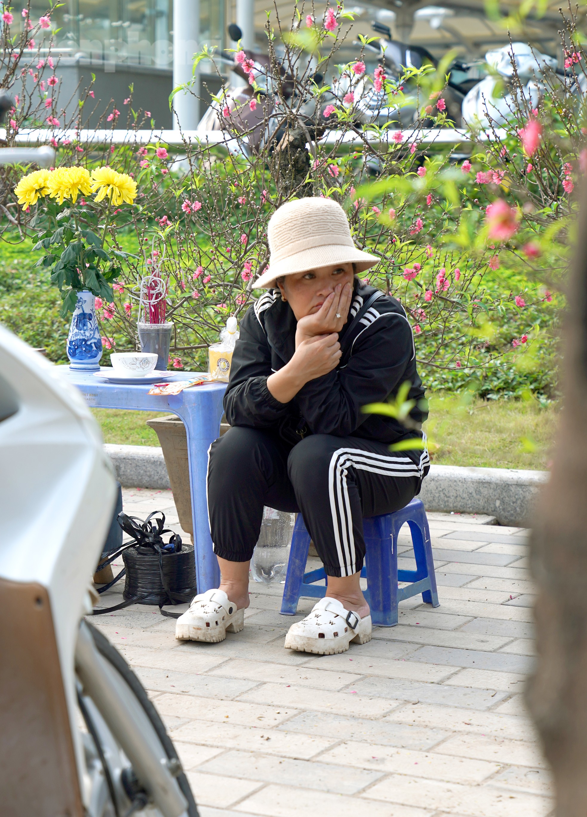 Đào quất 'ê hề', tiểu thương quyết không hạ giá dù sức mua kém - Ảnh 20