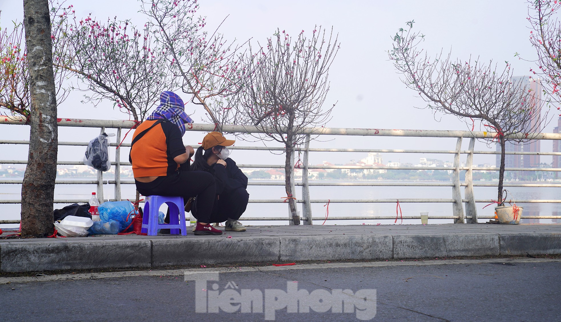 Đào quất 'ê hề', tiểu thương quyết không hạ giá dù sức mua kém - Ảnh 21