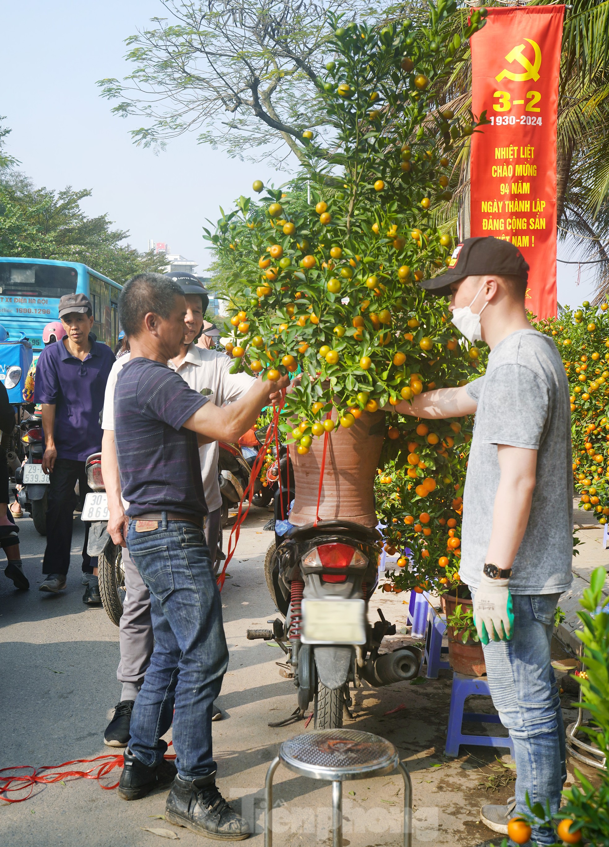 Đào quất 'ê hề', tiểu thương quyết không hạ giá dù sức mua kém - Ảnh 10