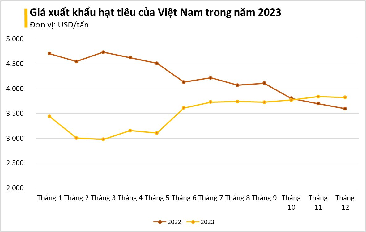 Không chỉ gạo, Philippines cũng đang săn lùng một sản vật của Việt Nam: là 'vàng mười' nước ta xuất khẩu đứng đầu thế giới hơn 20 năm - Ảnh 2