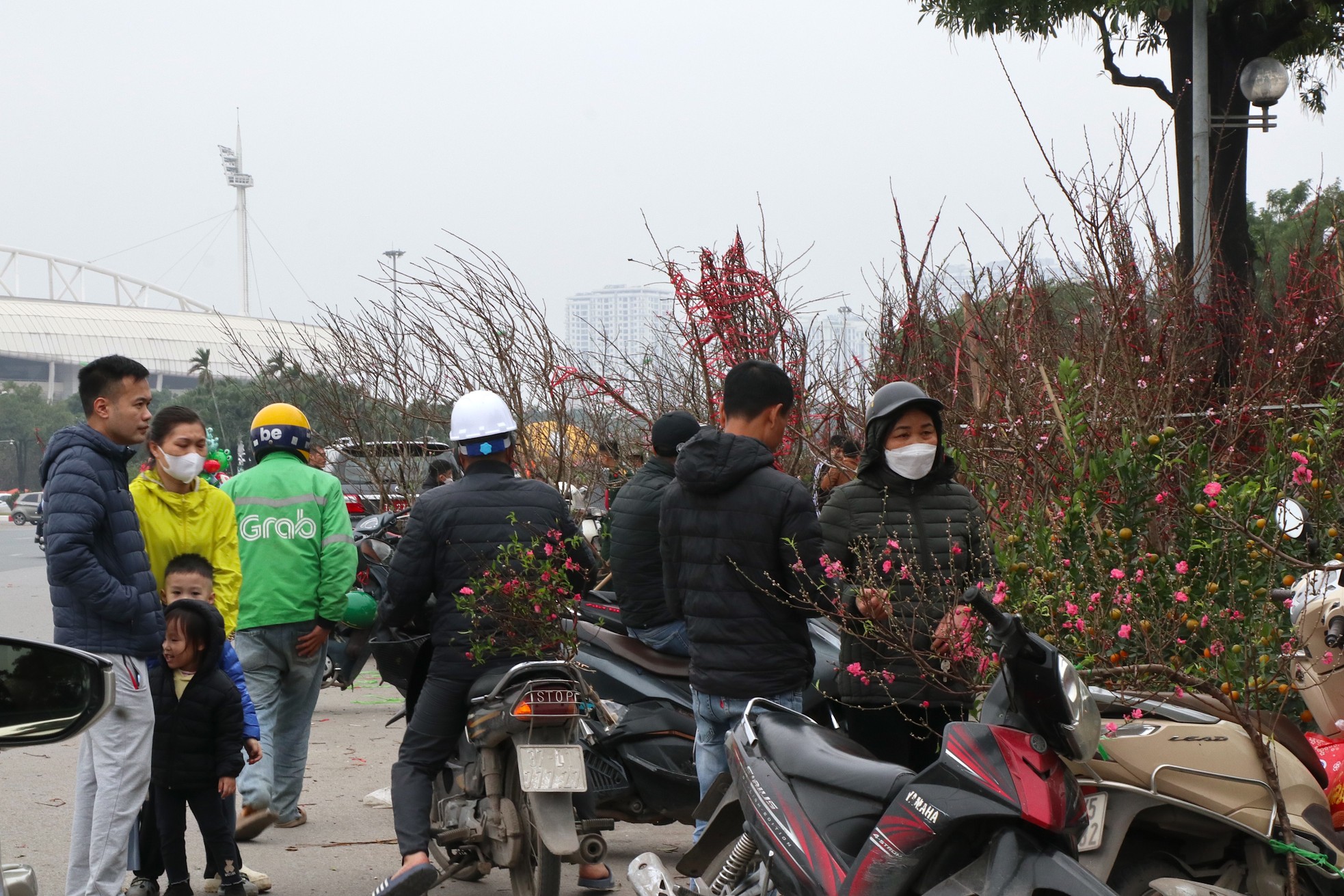 Mới 28 Tết đào quất đã 'đổ' ra đường, chỉ 80.000 đồng/cây - Ảnh 7