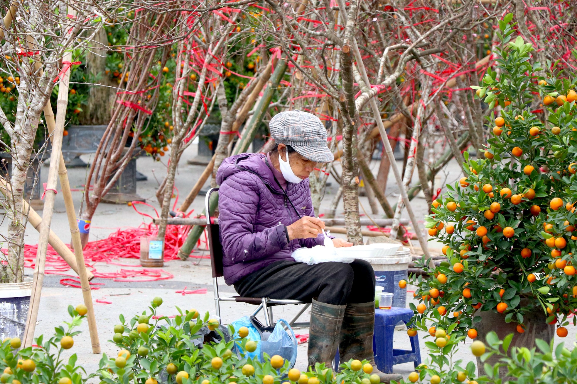 Mới 28 Tết đào quất đã 'đổ' ra đường, chỉ 80.000 đồng/cây - Ảnh 12