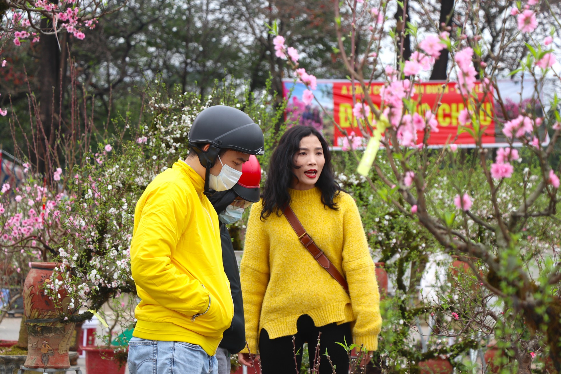 Mới 28 Tết đào quất đã 'đổ' ra đường, chỉ 80.000 đồng/cây - Ảnh 10