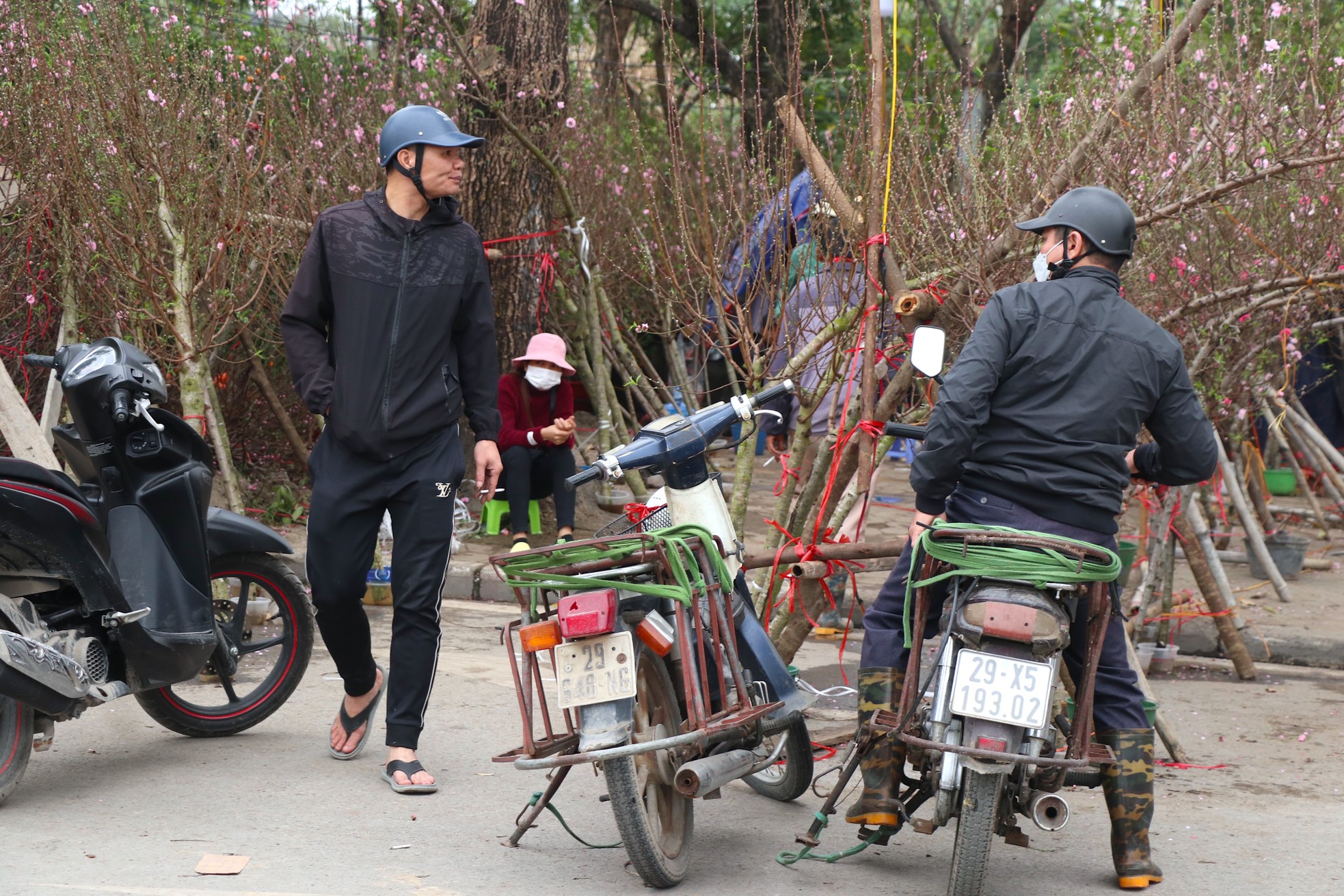 Mới 28 Tết đào quất đã 'đổ' ra đường, chỉ 80.000 đồng/cây - Ảnh 11