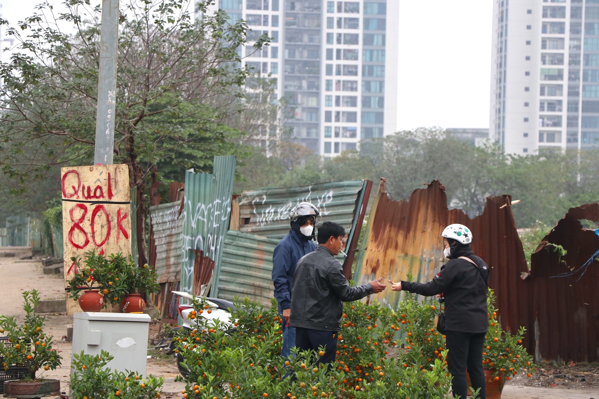 Mới 28 Tết đào quất đã 'đổ' ra đường, chỉ 80.000 đồng/cây - Ảnh 3