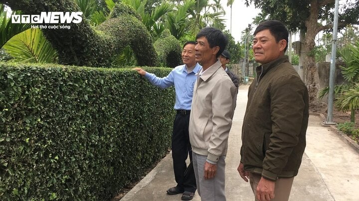 Ngắm linh vật xuân Giáp Thìn 2024 bằng cây duối độc nhất vô nhị - Ảnh 2