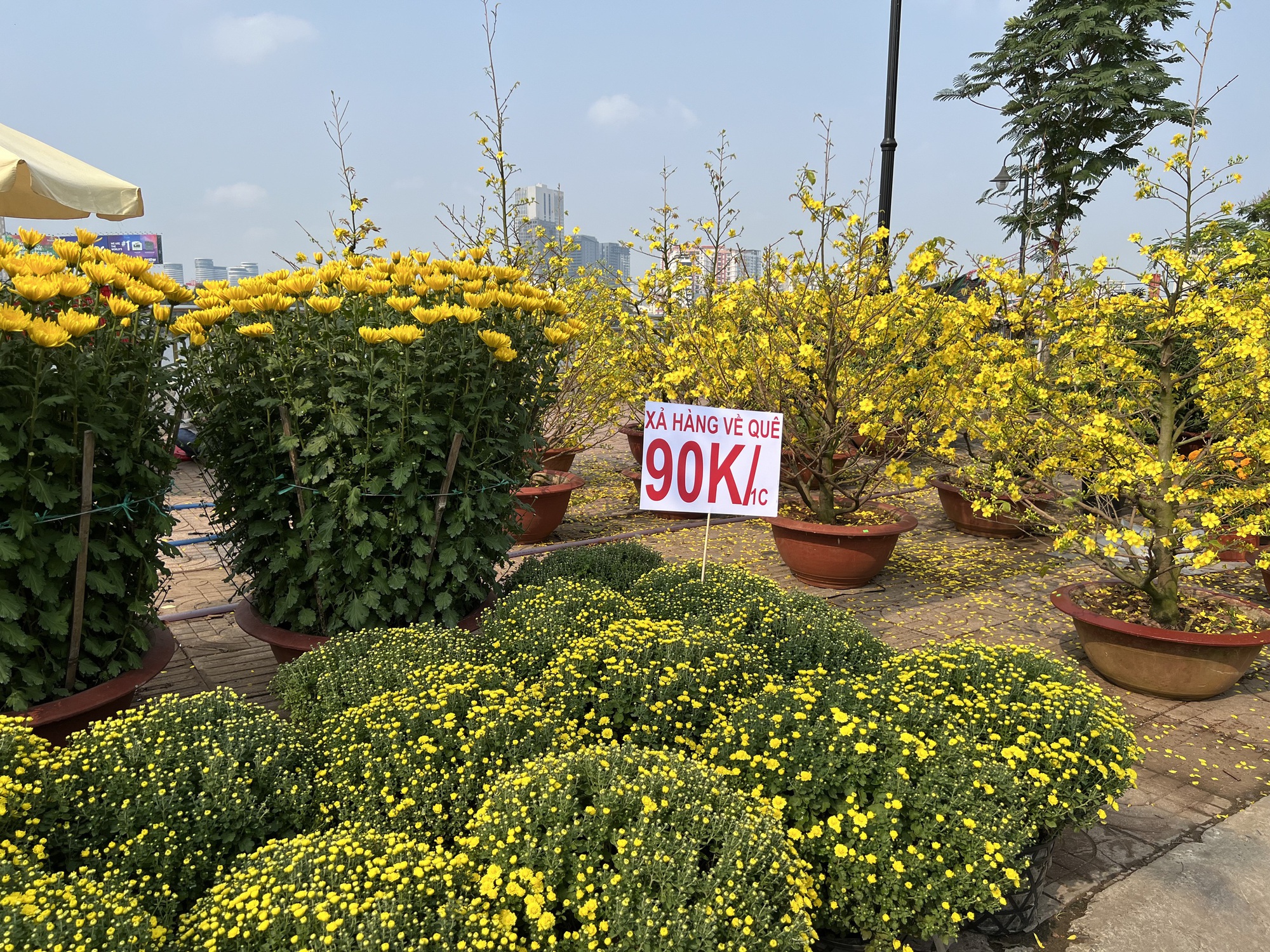 Buôn bán hoa Tết có lỗ như nhiều người nghĩ? - Ảnh 1