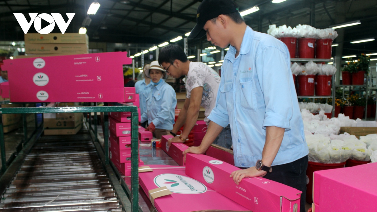 Xuất khẩu năm 2024 kỳ vọng khởi sắc từ những tín hiệu tích cực - Ảnh 4