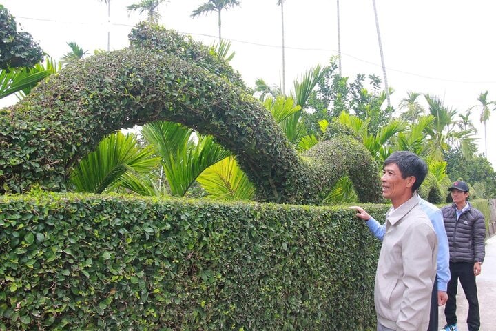 Ngắm linh vật xuân Giáp Thìn 2024 bằng cây duối độc nhất vô nhị - Ảnh 11