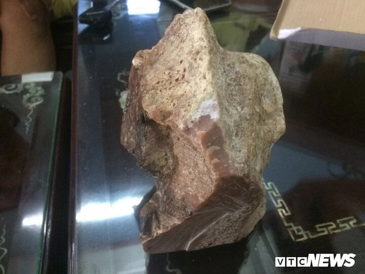 Những lần ngư dân Việt vô tình bắt được 'vàng nổi' trị giá tiền tỷ - Ảnh 2