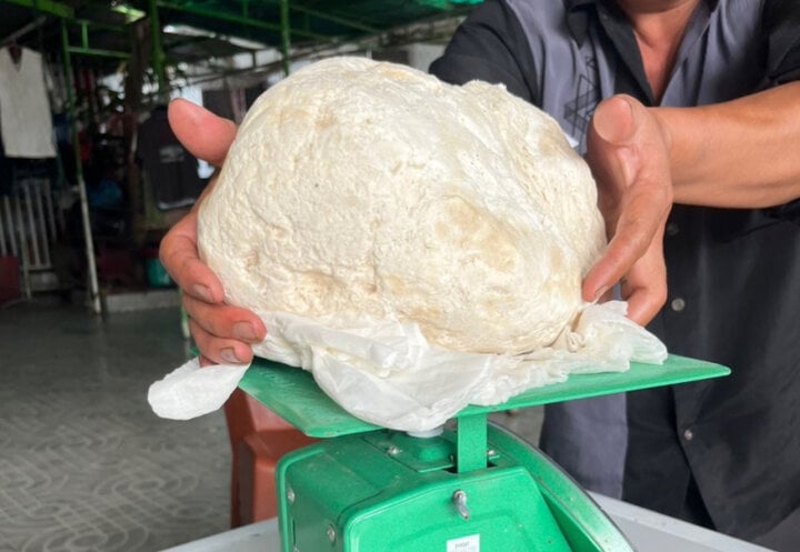 Những lần ngư dân Việt vô tình bắt được 'vàng nổi' trị giá tiền tỷ - Ảnh 4