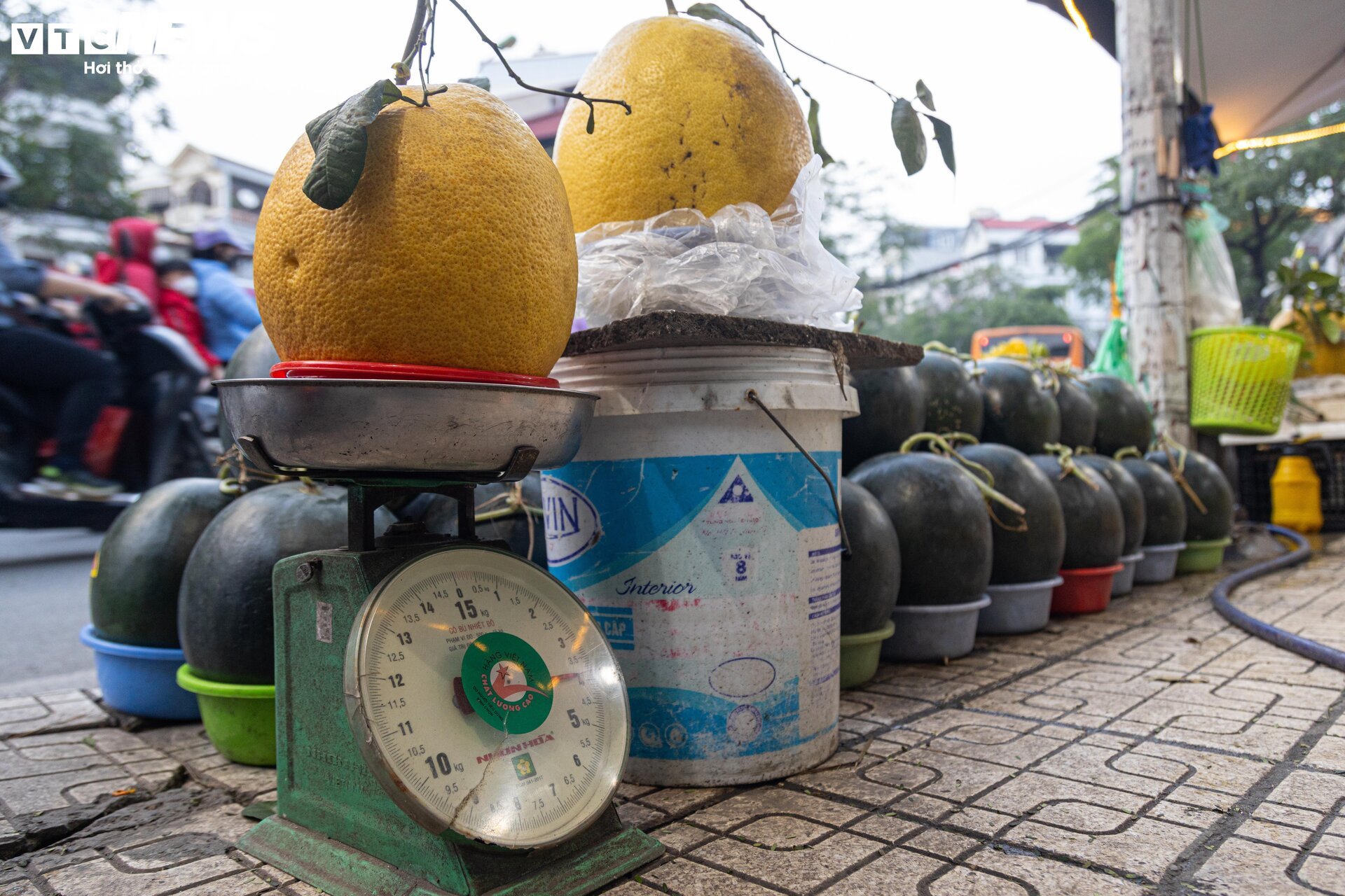 Bòng Kỳ Đà khổng lồ giá tiền triệu hút khách chơi Tết - Ảnh 5