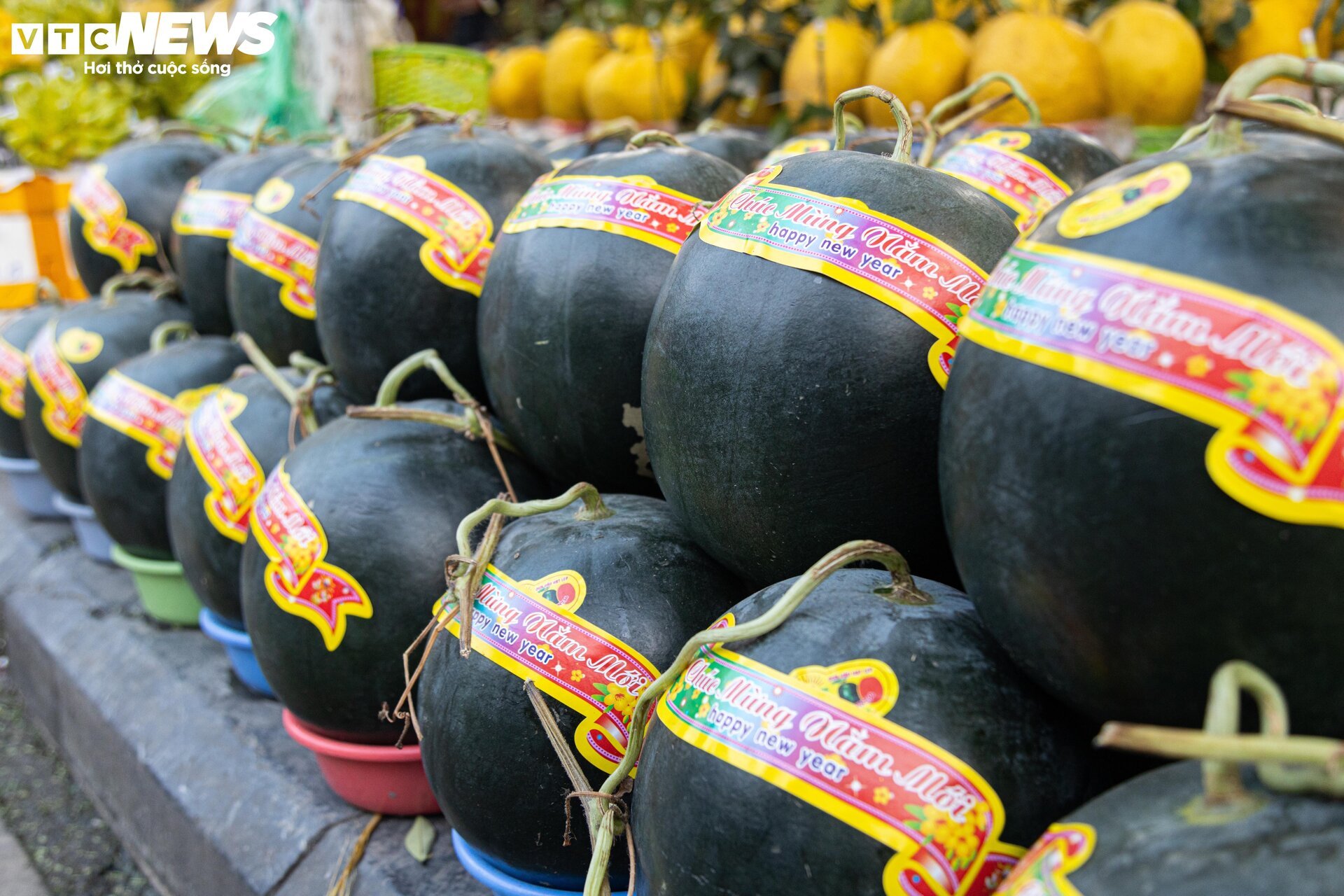 Bòng Kỳ Đà khổng lồ giá tiền triệu hút khách chơi Tết - Ảnh 13