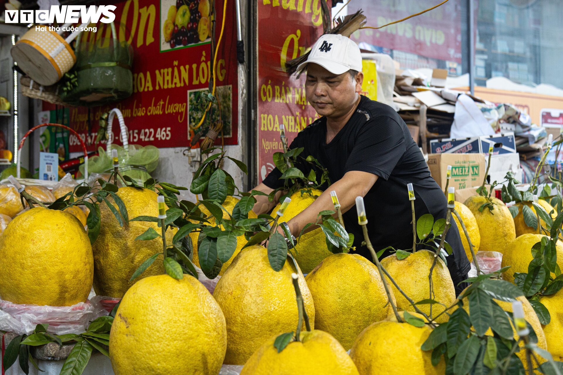 Bòng Kỳ Đà khổng lồ giá tiền triệu hút khách chơi Tết - Ảnh 7