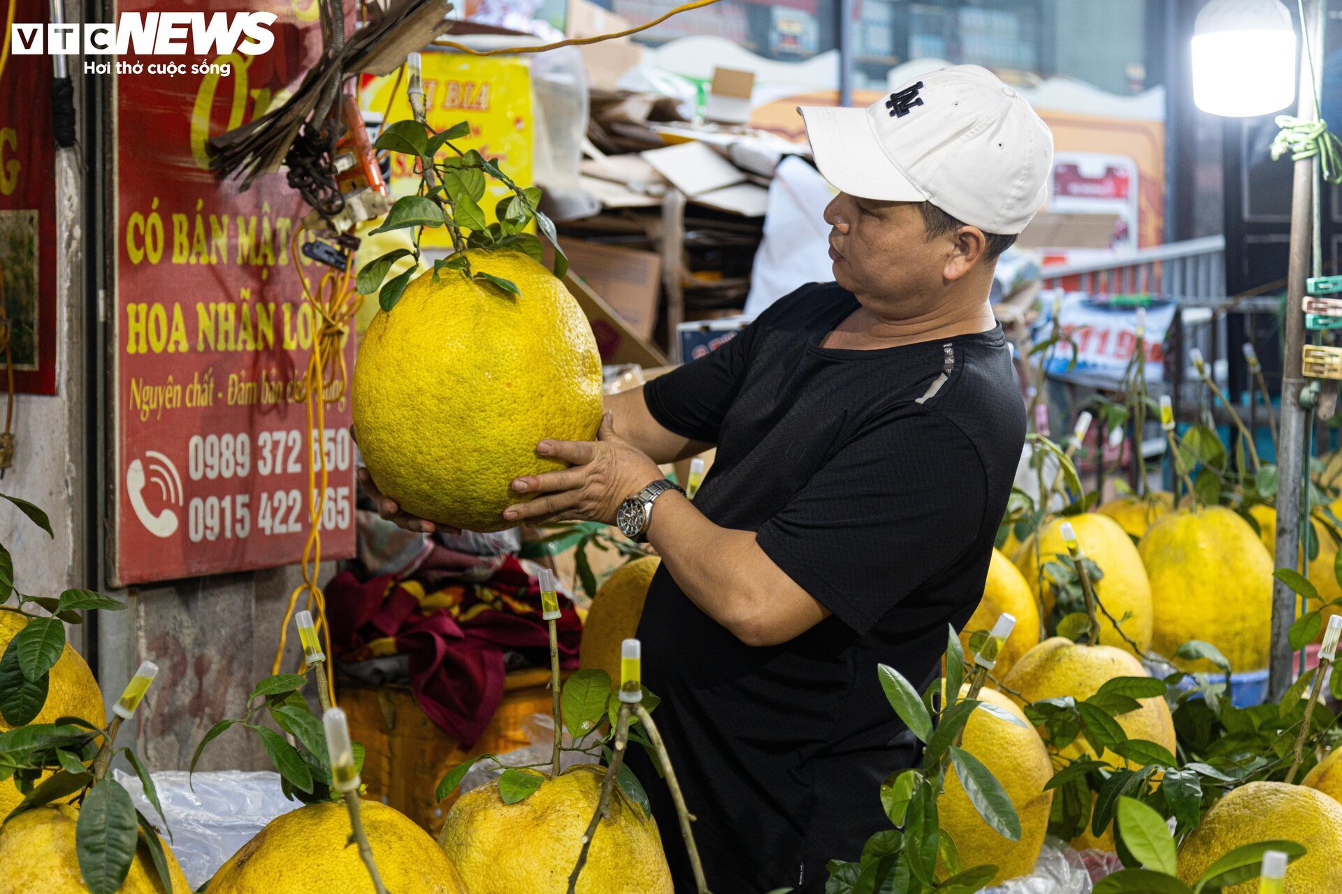 Bòng Kỳ Đà khổng lồ giá tiền triệu hút khách chơi Tết - Ảnh 2