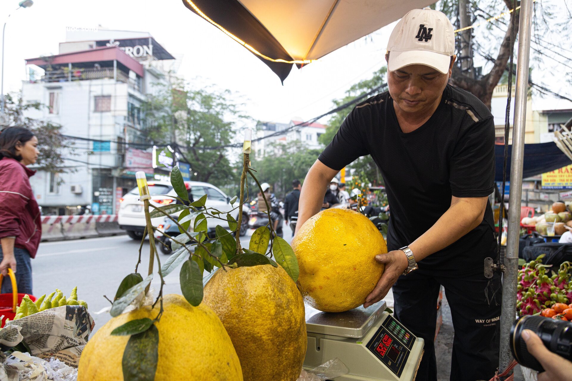 Bòng Kỳ Đà khổng lồ giá tiền triệu hút khách chơi Tết - Ảnh 11